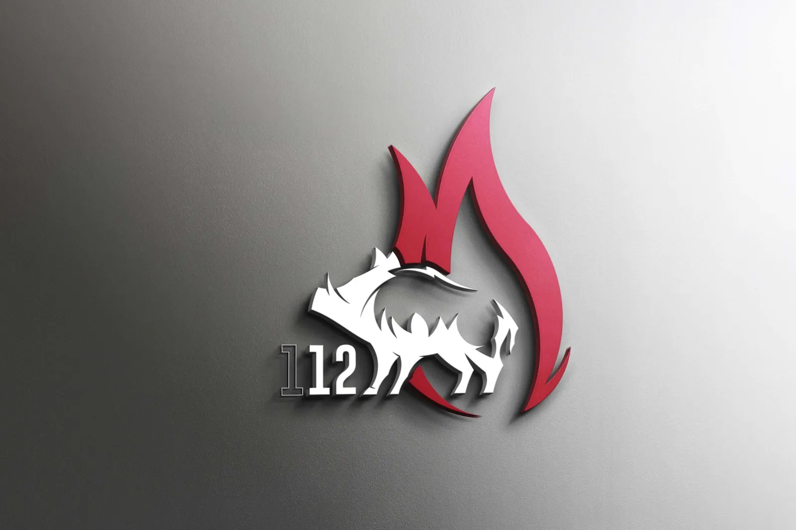Logo der Feuerwehr Botnang – Feuer, Flamme, Logo, Ansicht 1